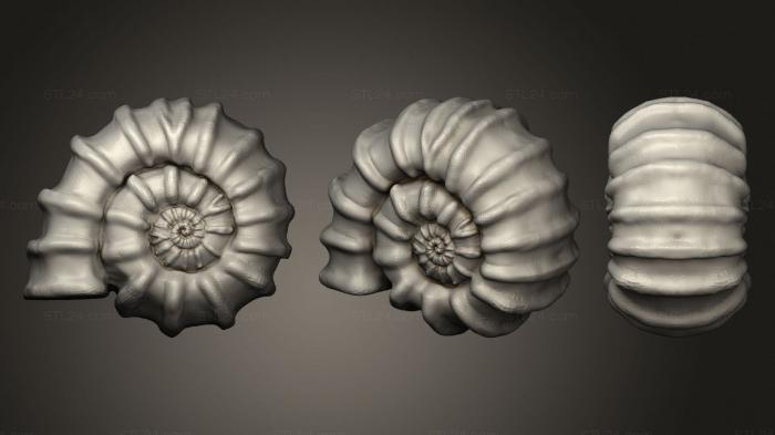Animal figurines (Ammonite, STKJ_1840) 3D models for cnc